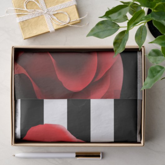 Rote Rose u. Schwarz-weiße Streifen Seidenpapier (Geschenk)