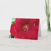 Rote Rose u. Varigated Hostas Karte (Rückseite)