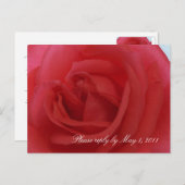 Rote Rose UAWG Einladungspostkarte (Vorne/Hinten)