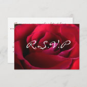 Rote Rose UAWG Personalisierte Rose Karten (Vorne/Hinten)