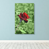 Rote Rose überzogene Leinwand (Insitu (Holzboden))