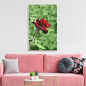 Rote Rose überzogene Leinwand (Insitu (Wohnzimmer))