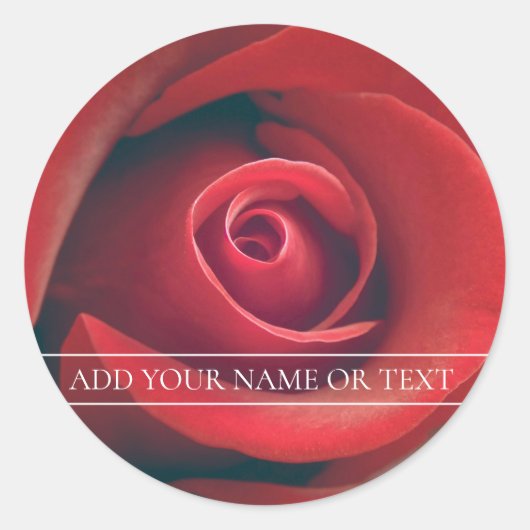 "ROTE ROSE" UMSCHLAG AUFKLEBER STICKER (Vorderseite)