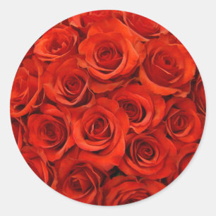 Rote Rose Umschlag Aufkleber Stickers