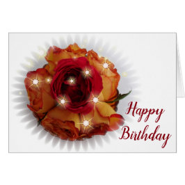 Rote Rose und Orangen und Gelb