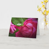 Rote Rose und Seile, Karte (Gelbe Blume)