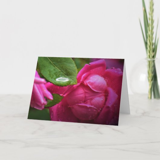 Rote Rose und Seile, Karte (Vorderseite)
