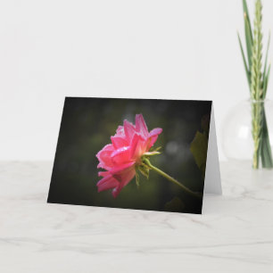 Rote Rose und Seile, Karte