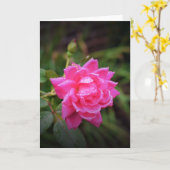 Rote Rose und Seile, Karte (Gelbe Blume)