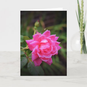 Rote Rose und Seile, Karte