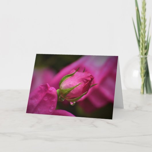 Rote Rose und Seile, Karte (Vorderseite)