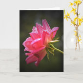 Rote Rose und Seile, Karte (Gelbe Blume)