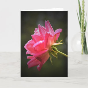 Rote Rose und Seile, Karte
