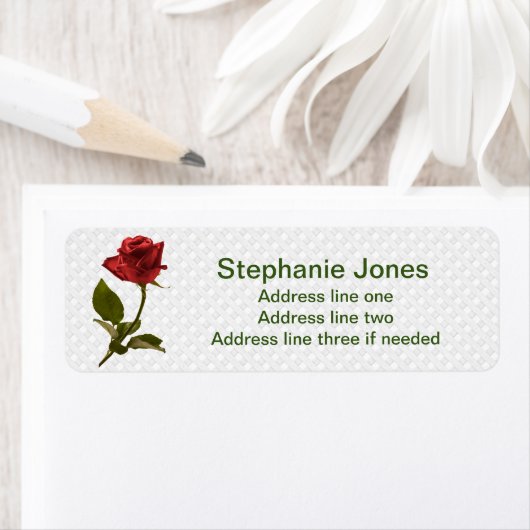 Rote Rose und Stem - Blumenbilder (Insitu)