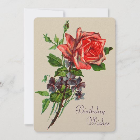 Rote Rose und Violette Karte (Vorderseite)