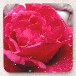 Rote Rose Untersetzer
