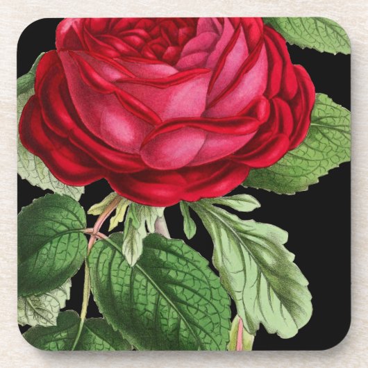 Rote Rose Untersetzer (Vorderseite)