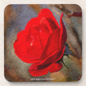 Rote Rose Untersetzer (Vorderseite)