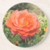 Rote Rose Untersetzer (Vorne)