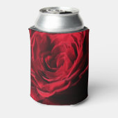 Rote Rose Valentine: Dunkle Romantik Dosenkühler (Kanne Rückseite)