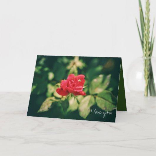 Rote Rose Valentine I Liebe Sie immer Karte (Vorderseite)