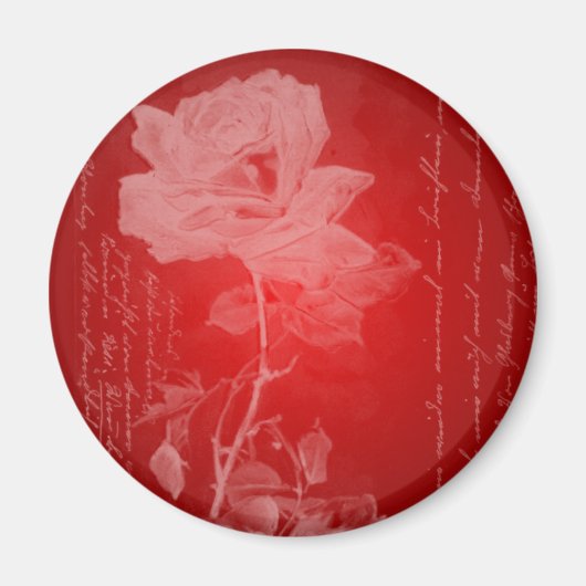Rote Rose Valentine Magnet (Vorne)