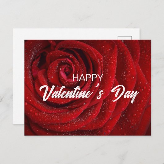 Rote Rose, Valentine Postkarte (Vorne/Hinten)