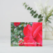 Rote Rose, Valentinstag Feiertagspostkarte (Stehend Vorderseite)