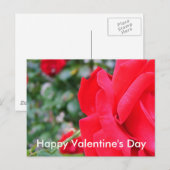 Rote Rose, Valentinstag Feiertagspostkarte (Vorne/Hinten)