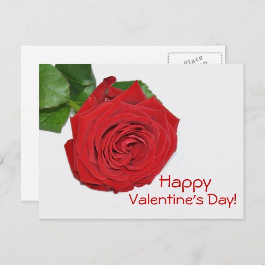 Rote Rose Valentinstag Postkarte (Vorne/Hinten)