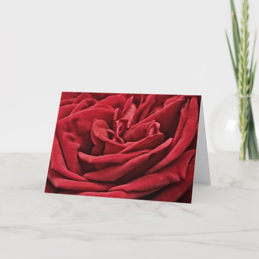 Rote Rose Velvet Petals Blume Art Karte (Vorderseite)