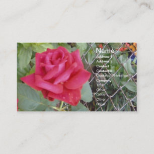 Rote Rose Visitenkarte