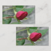 Rote Rose Visitenkarte (Vorne/Hinten)