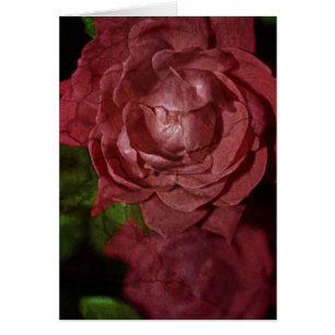 Rote Rose von Shirley Taylor