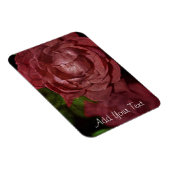 Rote Rose von Shirley Taylor Magnet (Rechte Seite)