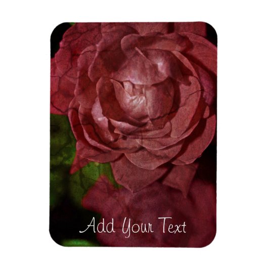 Rote Rose von Shirley Taylor Magnet (Vertikal)