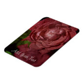 Rote Rose von Shirley Taylor Magnet (Linke Seite)