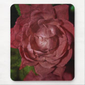 Rote Rose von Shirley Taylor Mousepad (Vorne)