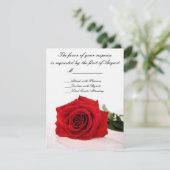 Rote Rose Wedding RSVP Card Karte (Stehend Vorderseite)