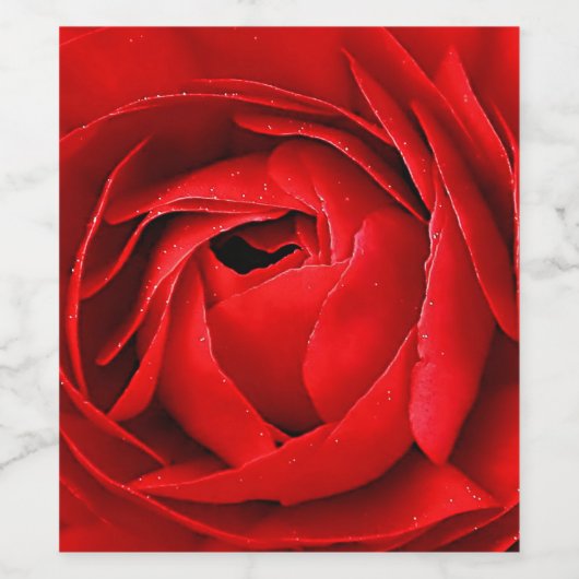 ROTE ROSE WEINETIKETT (Einzelnes Label)