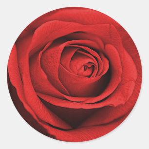 Rote Rose Weiß (Jede Farbe) Rustikale Glamour-Hoch Runder Aufkleber