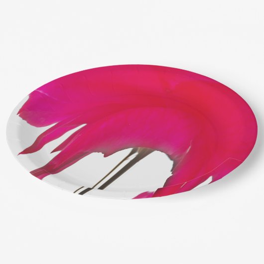 Rote Rose Weißer Himmel Abendessen Teller (Schrägansicht)