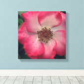 Rote Rose Wrapped Canvas Leinwanddruck (Insitu (Holzboden))