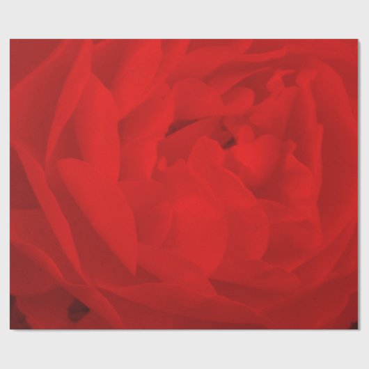Rote Rose Wrapping Paper Geschenkpapier (Flach)