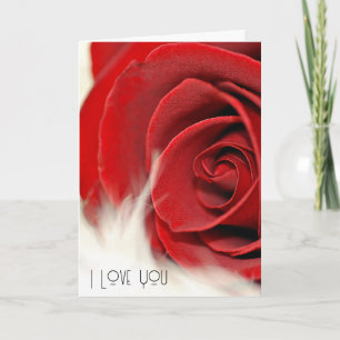 Rote Rose zum Jahrestag Karte