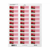 Rote Rosen (Vorne)