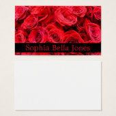 Rote Rosen (Vorne & Hinten)