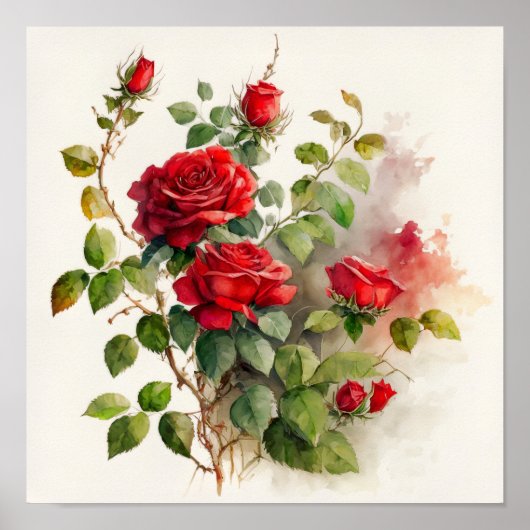 Rote Rosen Aquarell Poster (Vorne)