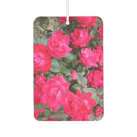 ROTE ROSEN AUTOLUFTERFRISCHER (Vorderseite)