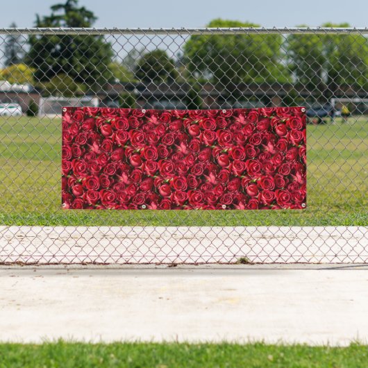 Rote Rosen Banner (Insitu)